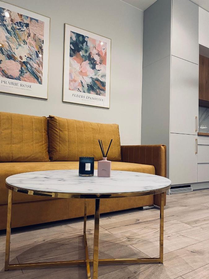 Apartment Golden Lodz, Zdrowie Lodz (Lodz)
